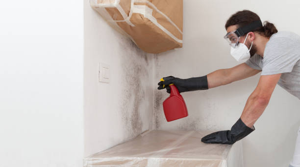 Professional Basement Mold Remediation technician working in Cedar Hill, TX
